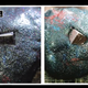 Illustration for article titled Can you tell the difference between a digital picture and film?